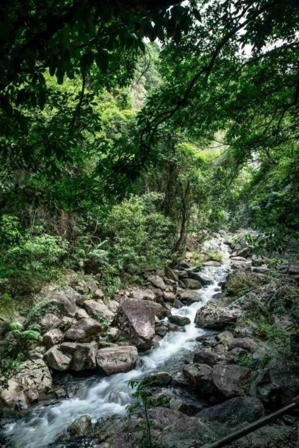 逃离荒凉之地